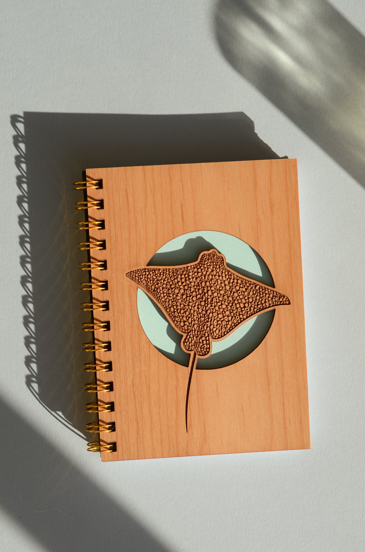 Stingray Journal