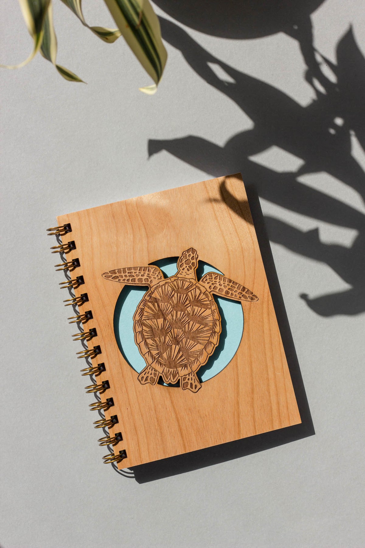 Sea Turtle Journal