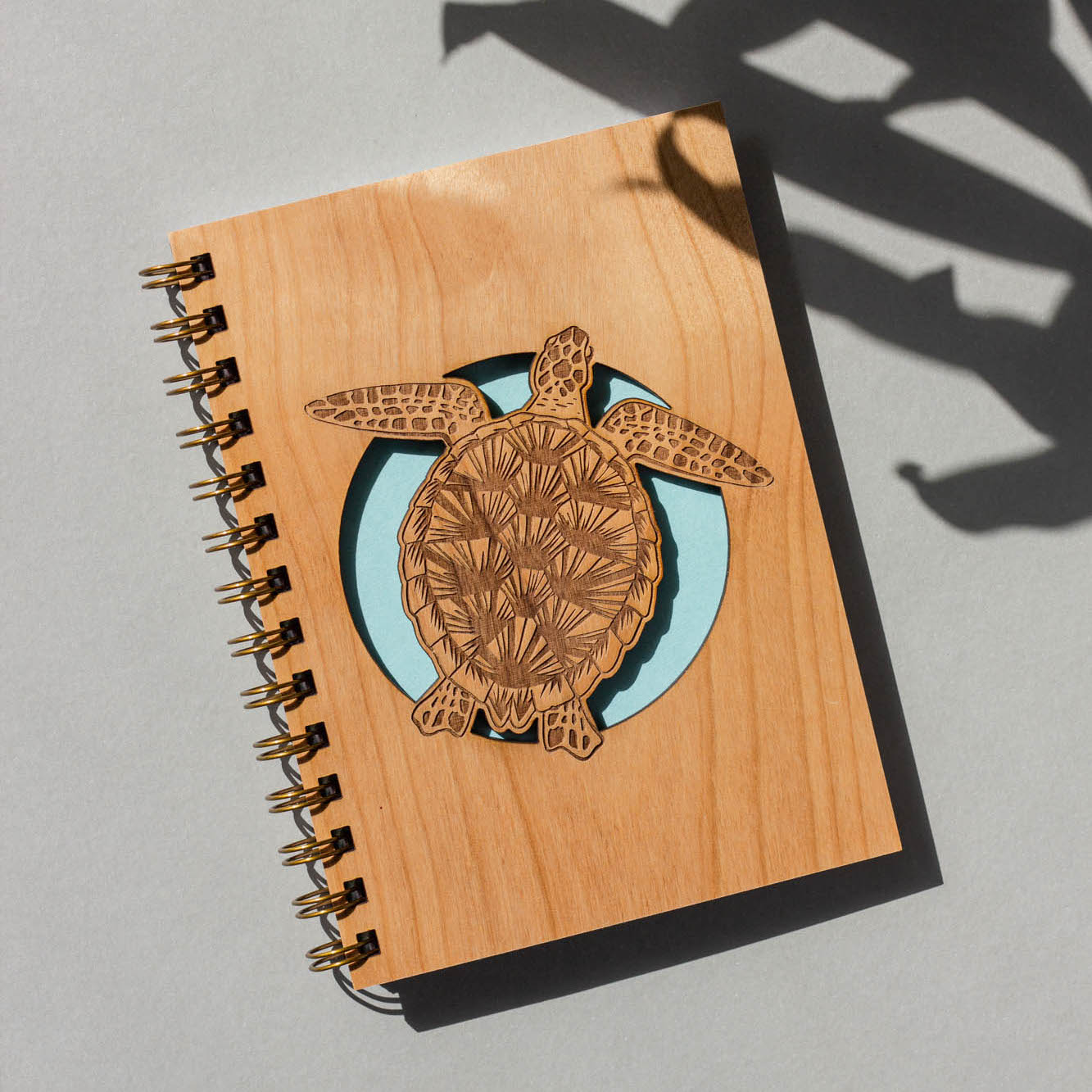 Sea Turtle Journal