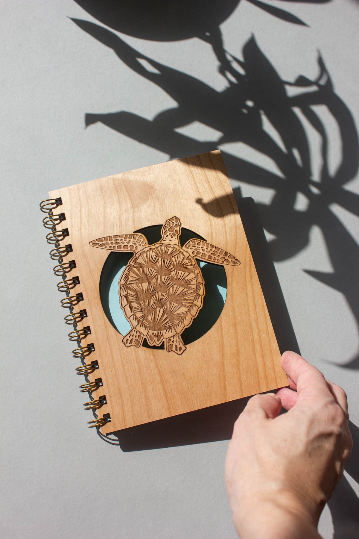 Sea Turtle Journal