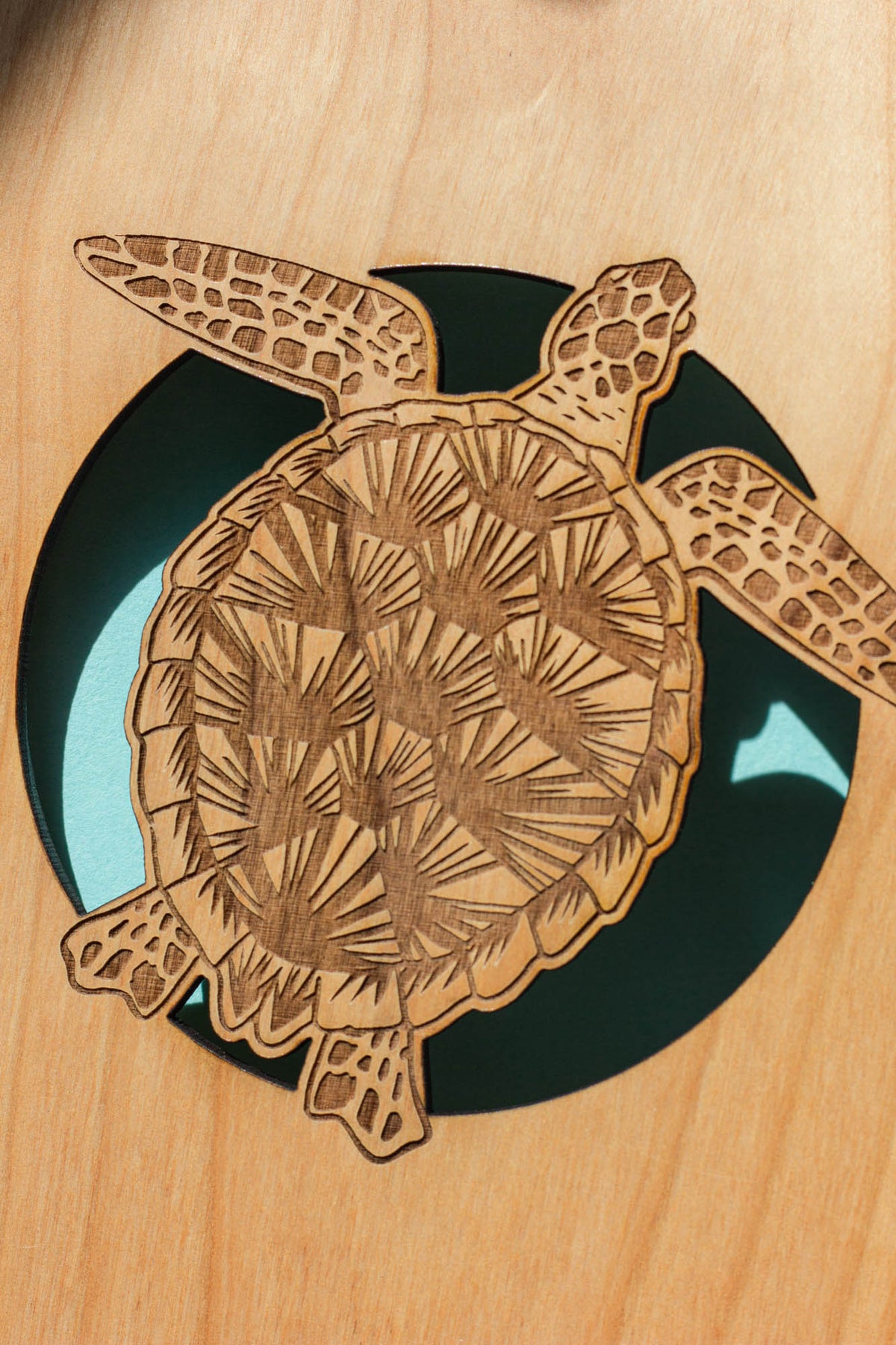 Sea Turtle Journal