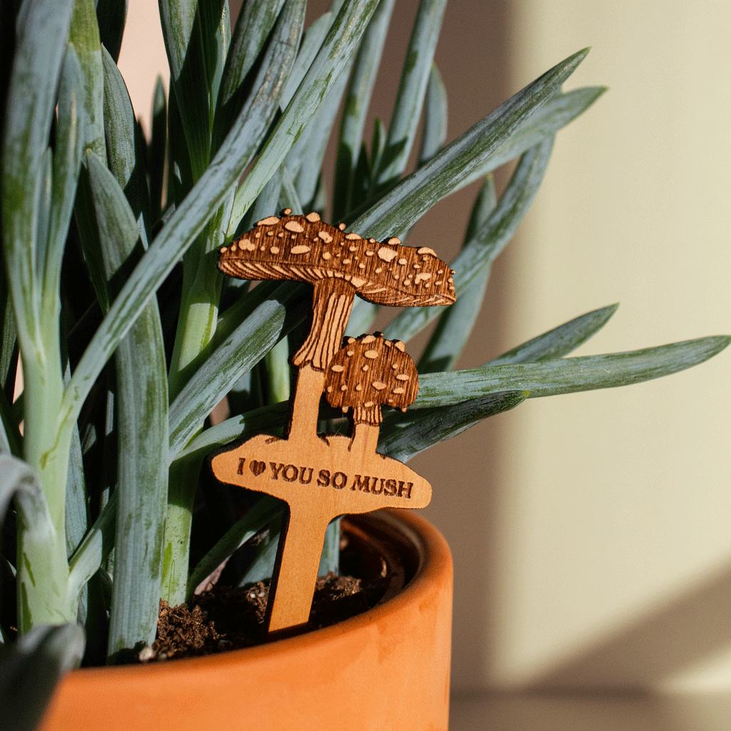 Hereafter Wood Plant Pick