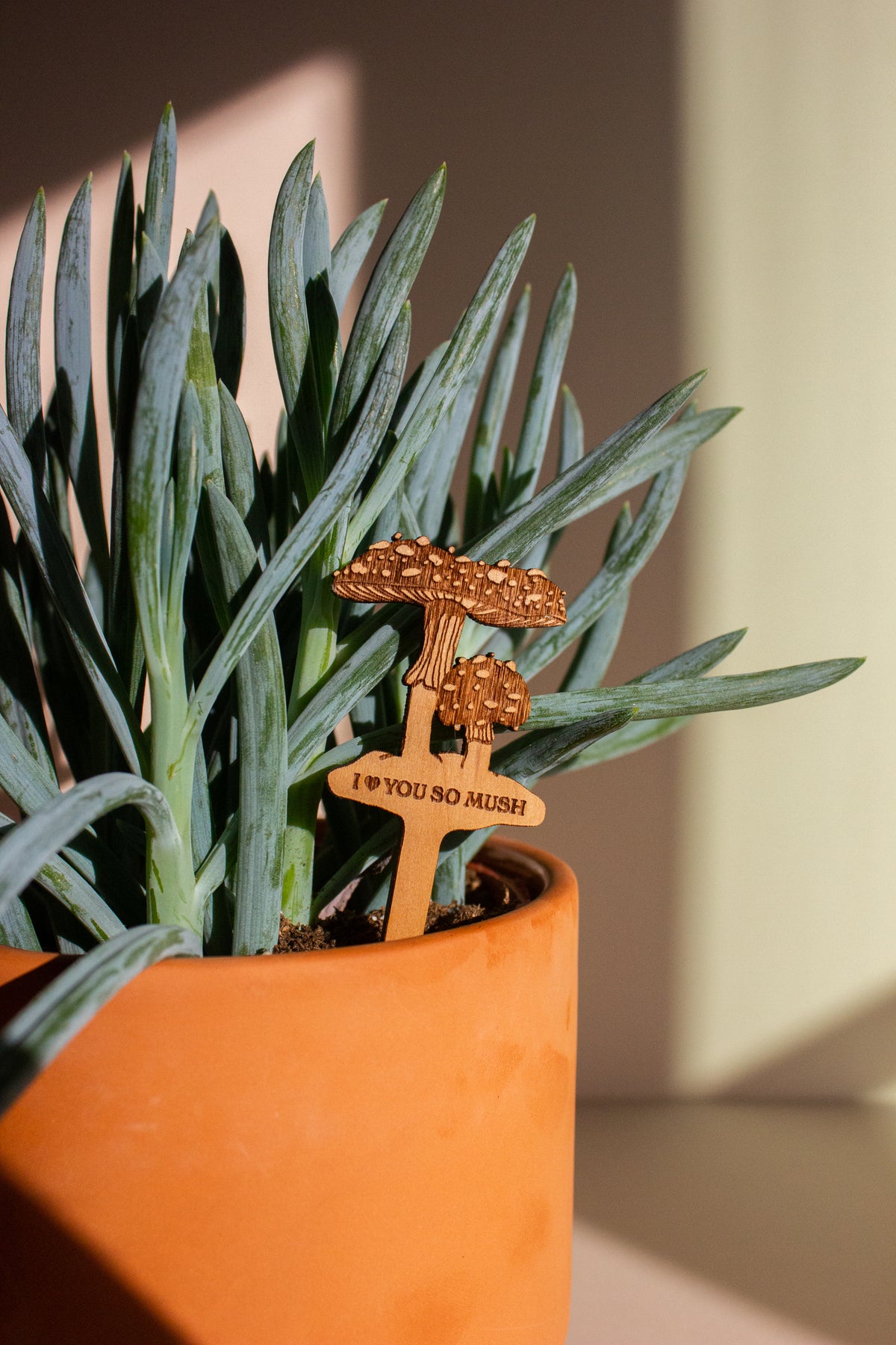 Hereafter Wood Plant Pick