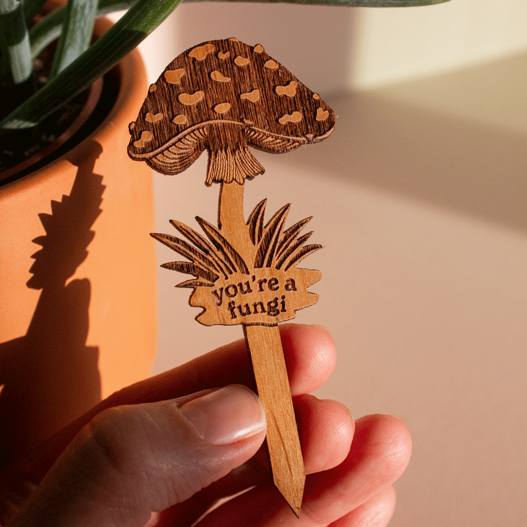 Hereafter Wood Plant Pick