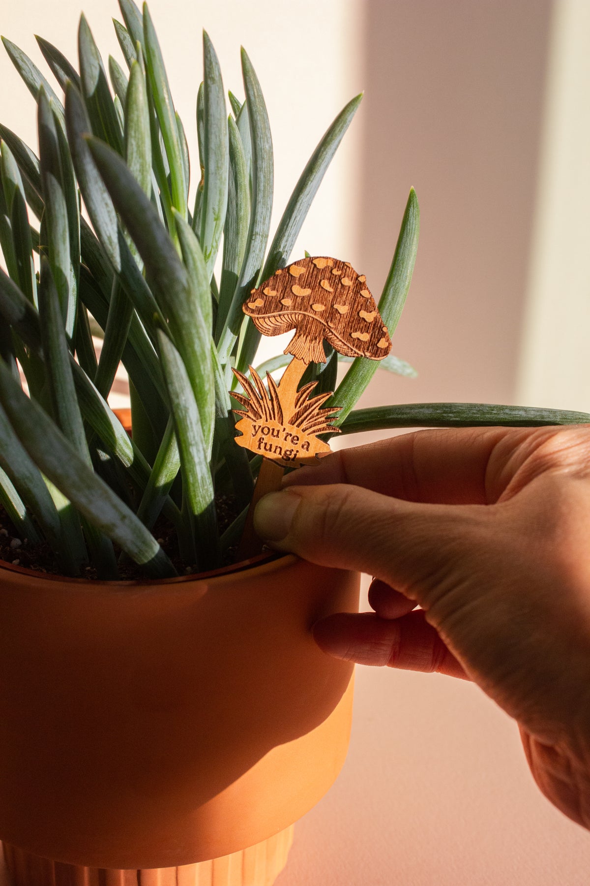 Hereafter Wood Plant Pick