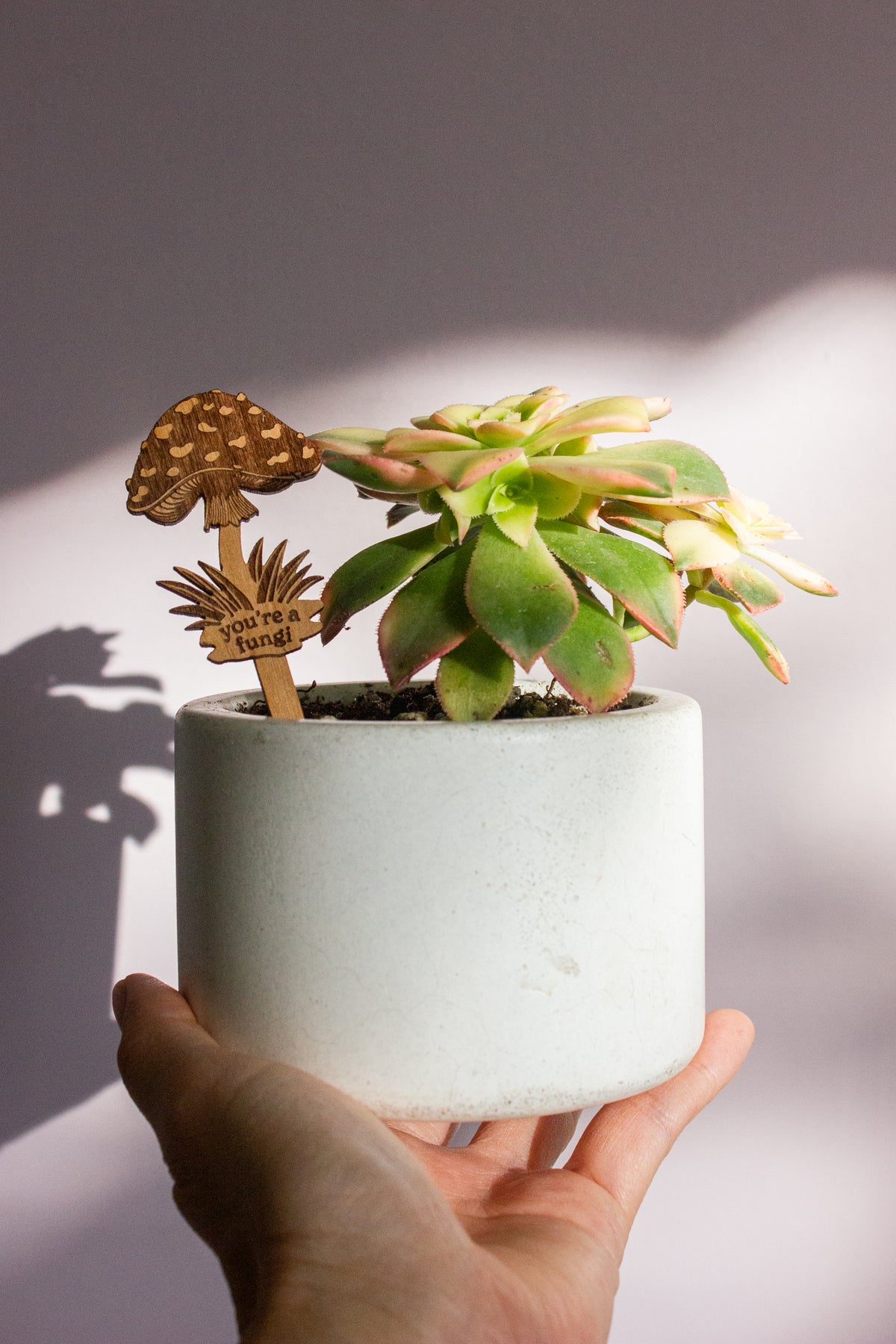 Hereafter Wood Plant Pick