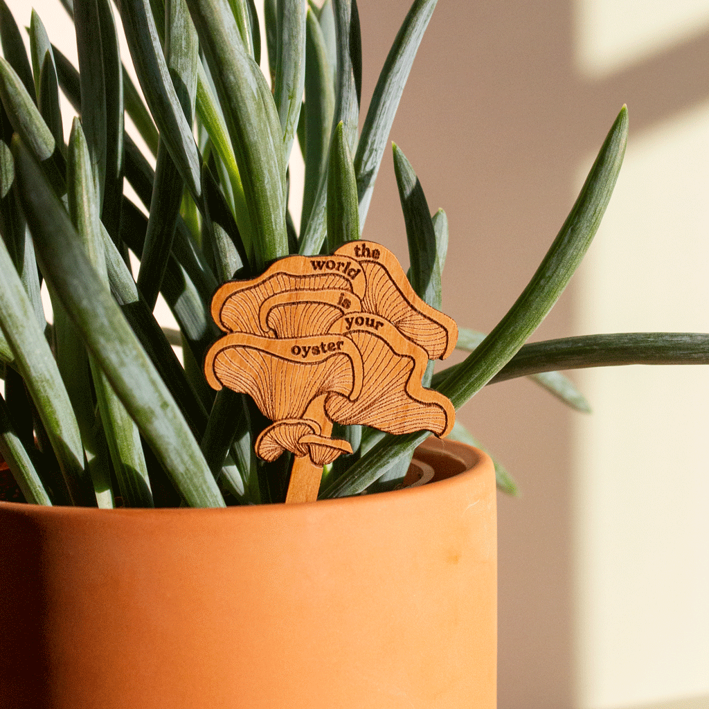 Hereafter Wood Plant Pick