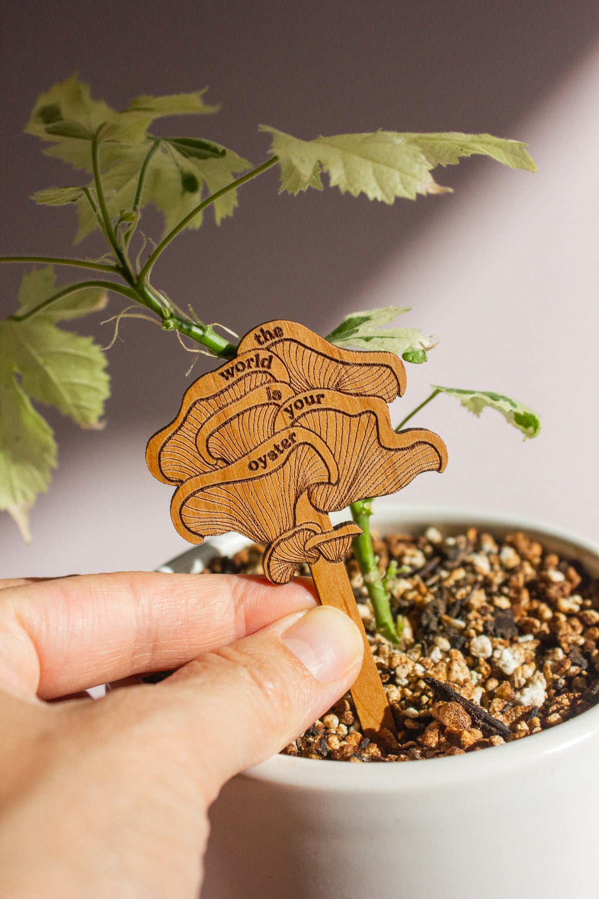 Hereafter Wood Plant Pick