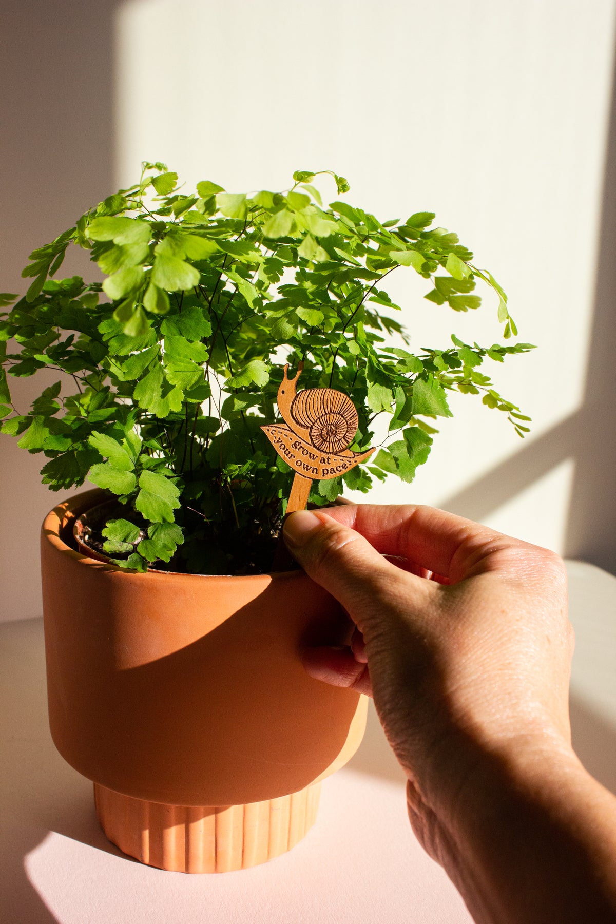 Hereafter Wood Plant Pick