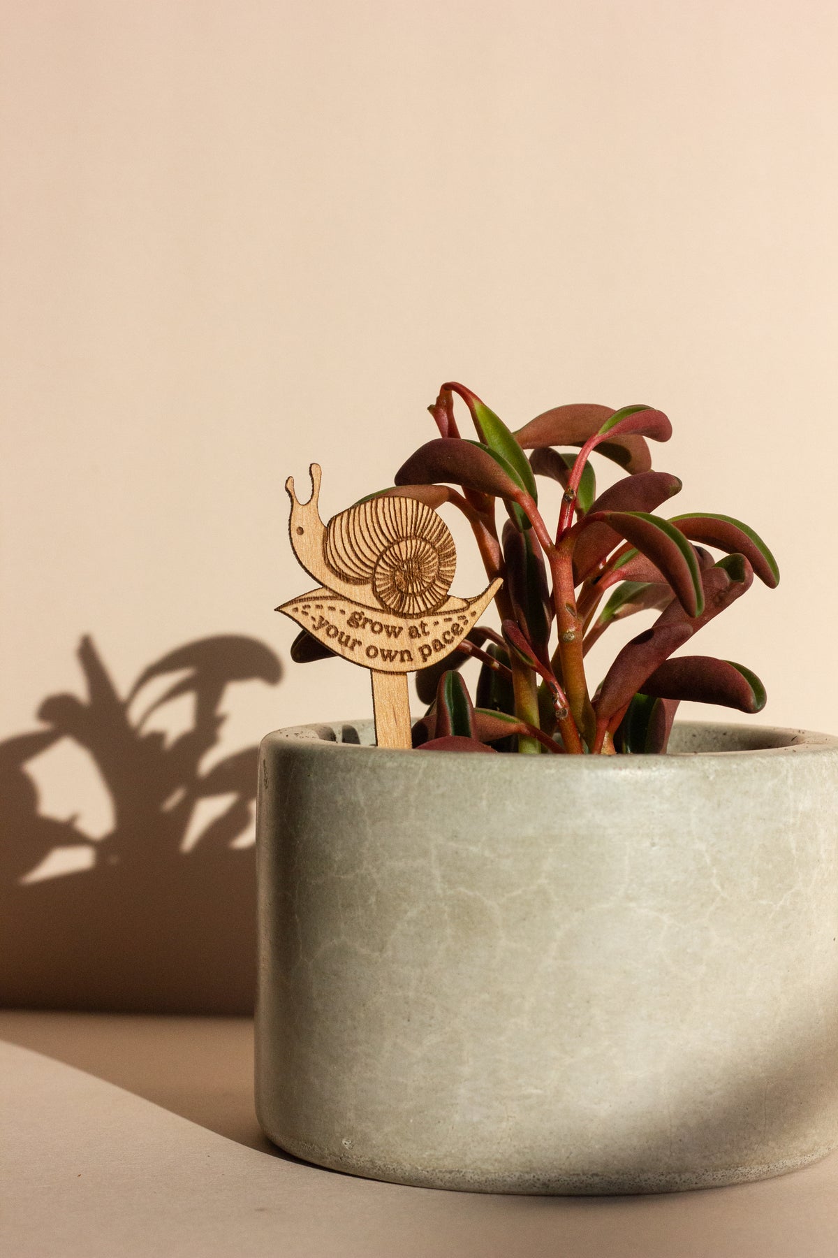 Hereafter Wood Plant Pick