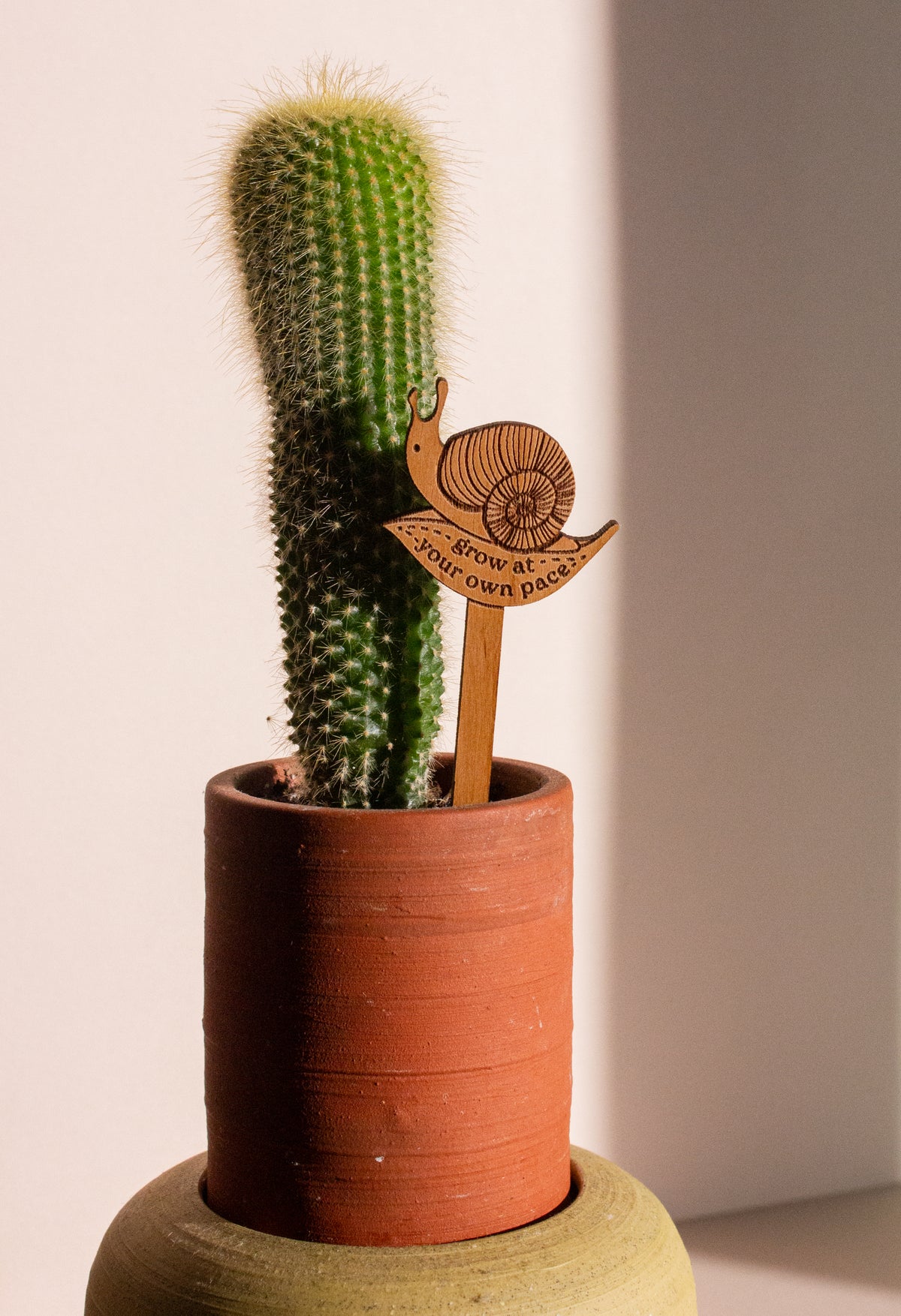 Hereafter Wood Plant Pick