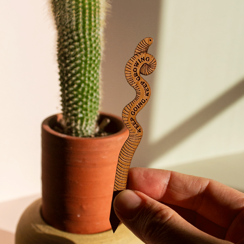 Hereafter Wood Plant Pick