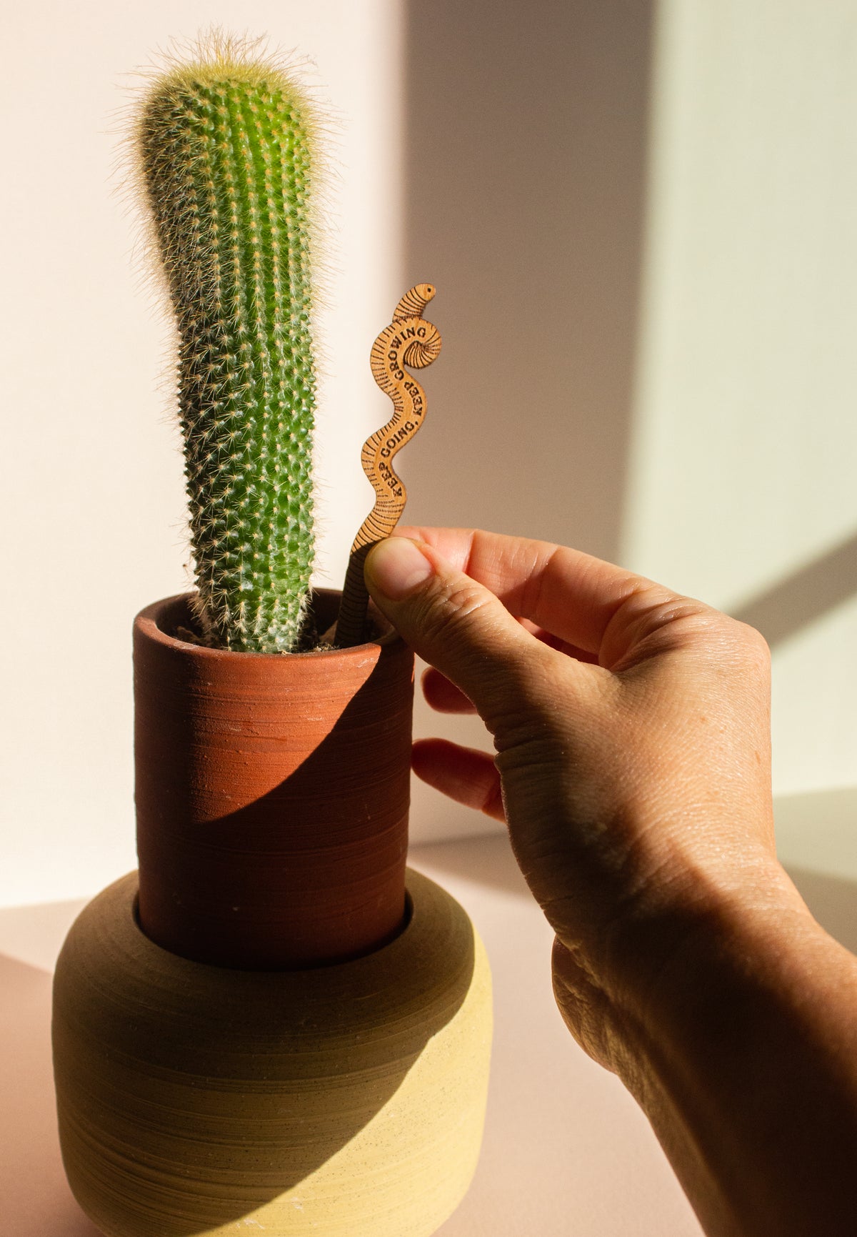 Hereafter Wood Plant Pick