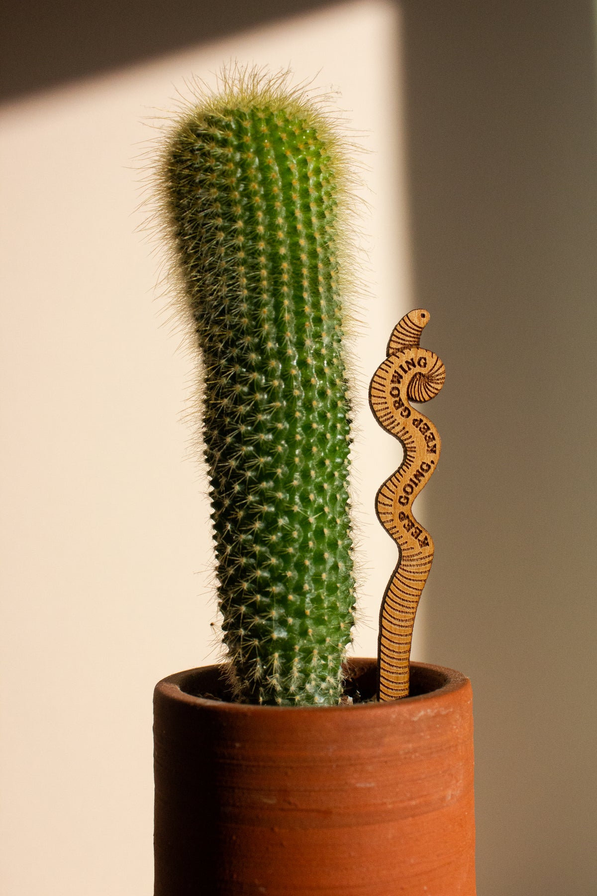 Hereafter Wood Plant Pick