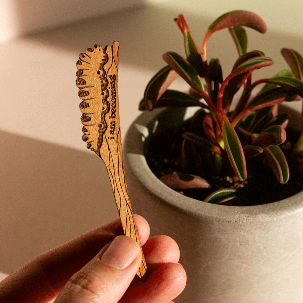 Hereafter Wood Plant Pick