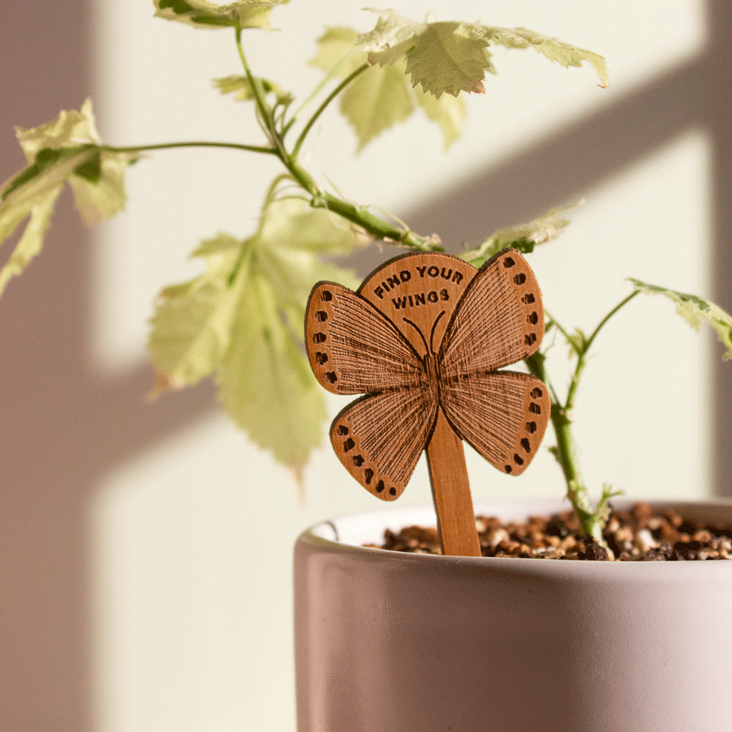 Hereafter Wood Plant Pick