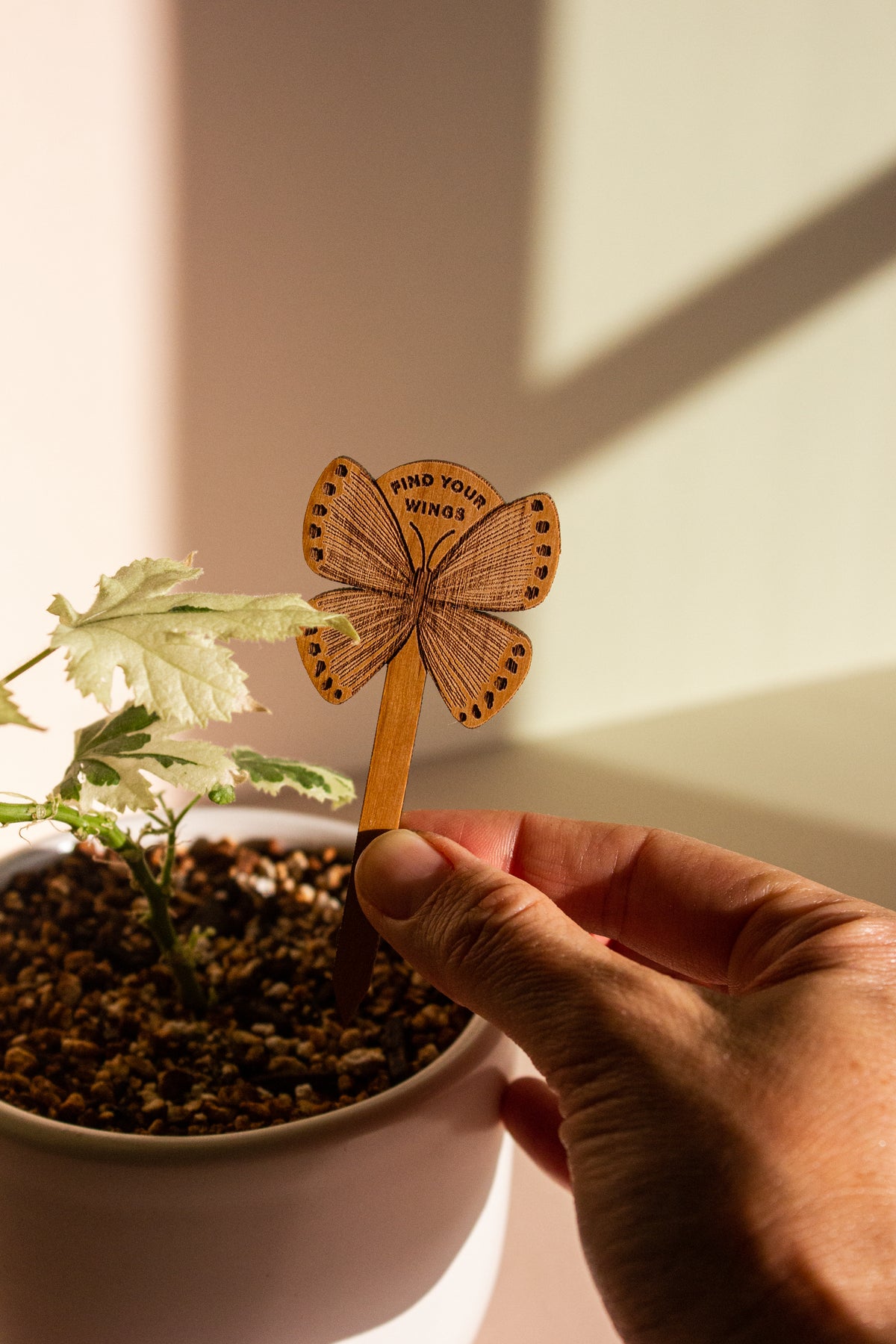 Hereafter Wood Plant Pick