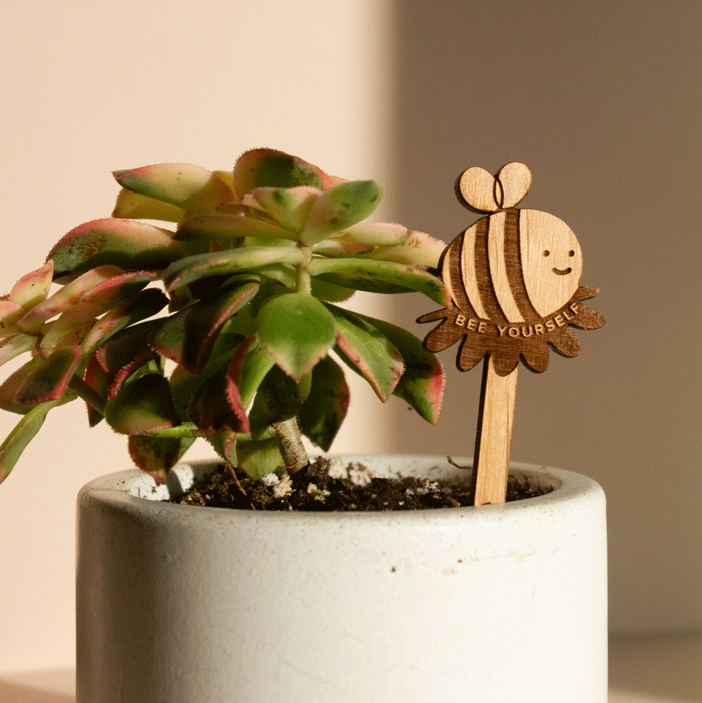 Hereafter Wood Plant Pick