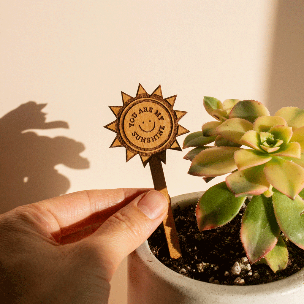 Hereafter Wood Plant Pick