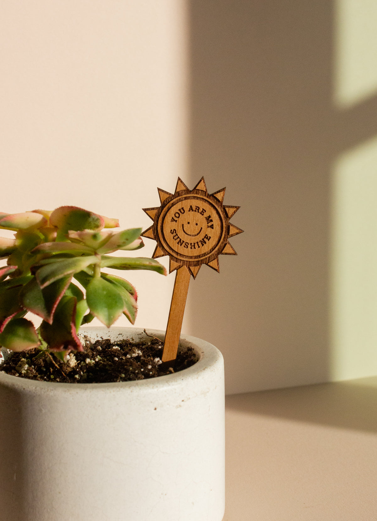 Hereafter Wood Plant Pick