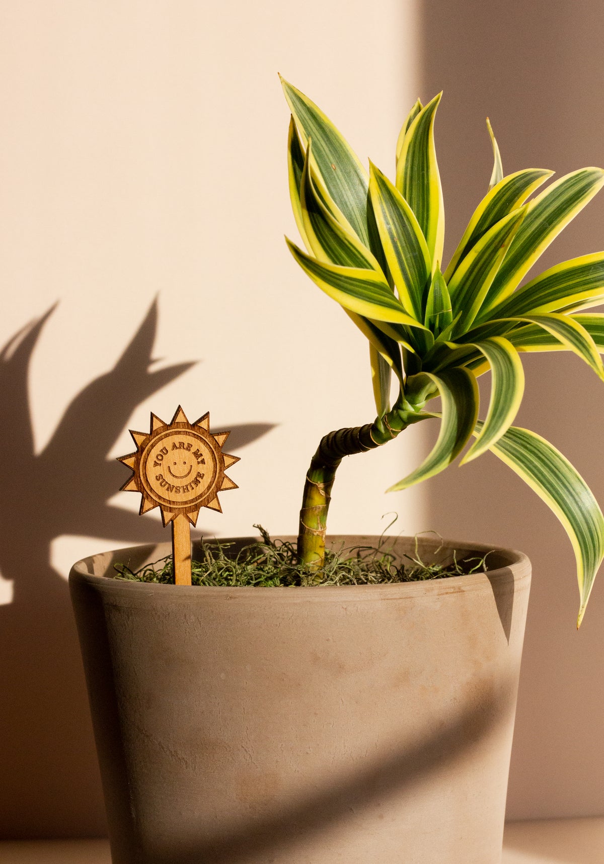 Hereafter Wood Plant Pick