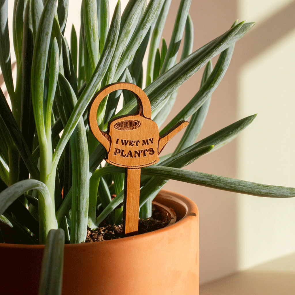 i wet my plants pot I Wet My Plants Watering Can Wood Plant Pick