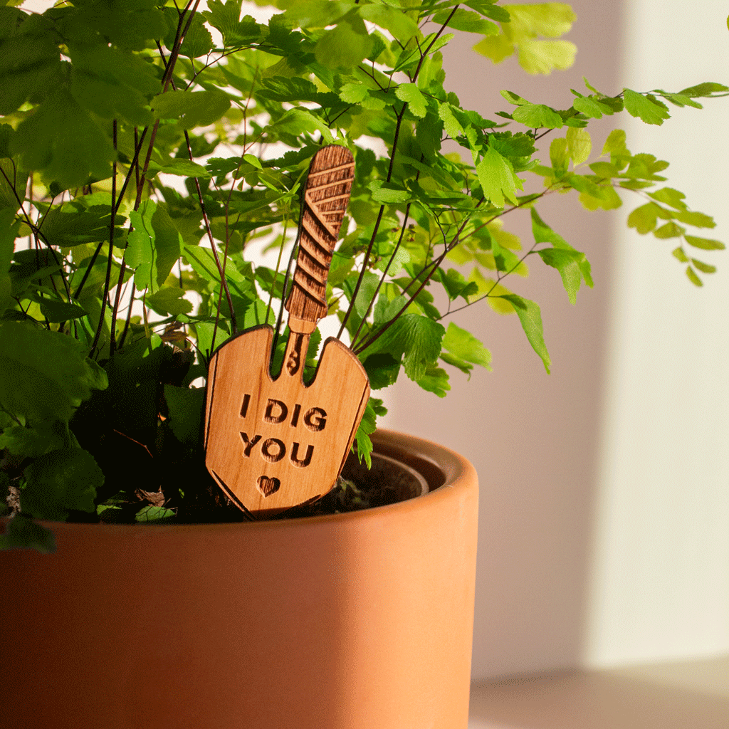 Hereafter Wood Plant Pick