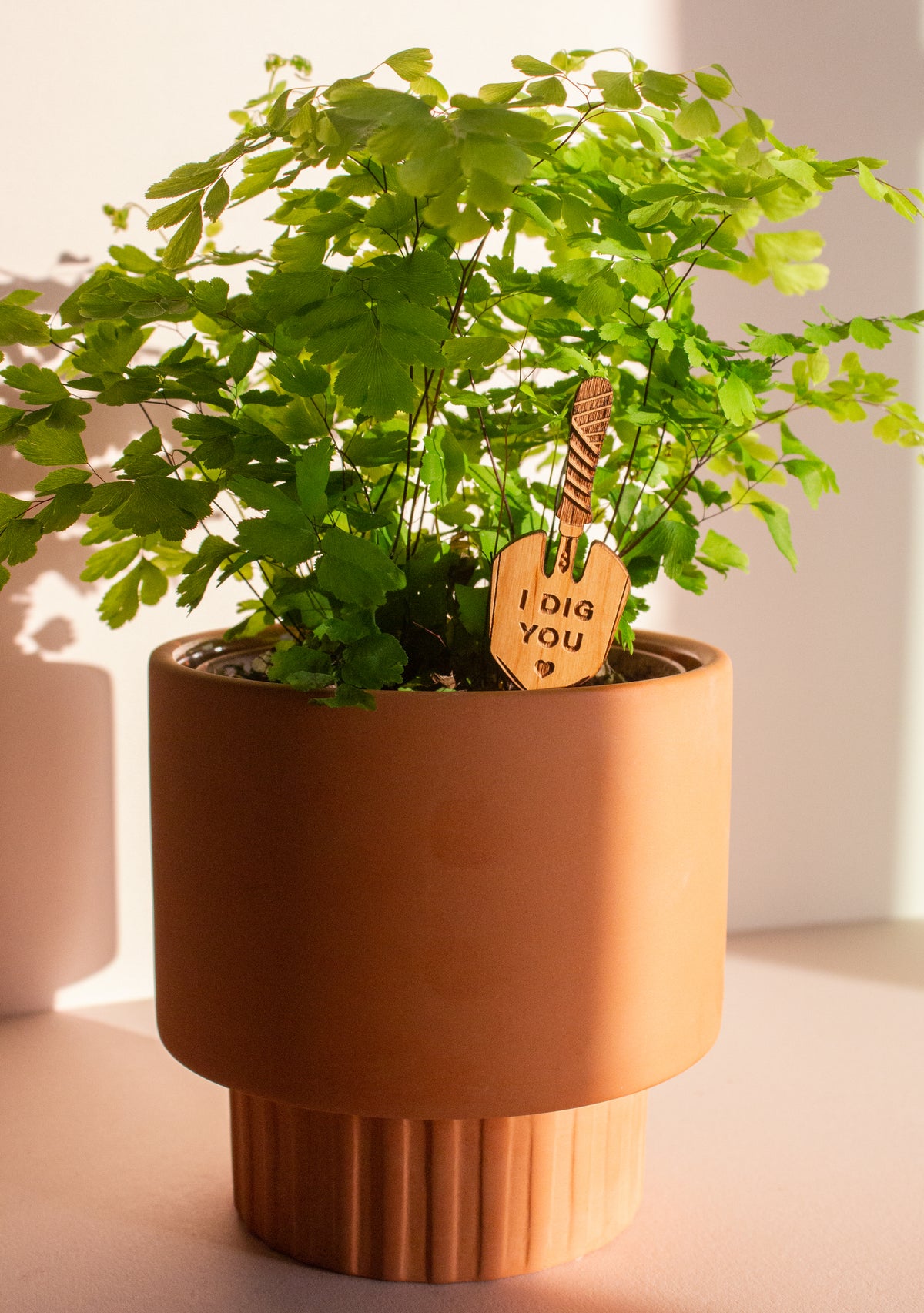 Hereafter Wood Plant Pick