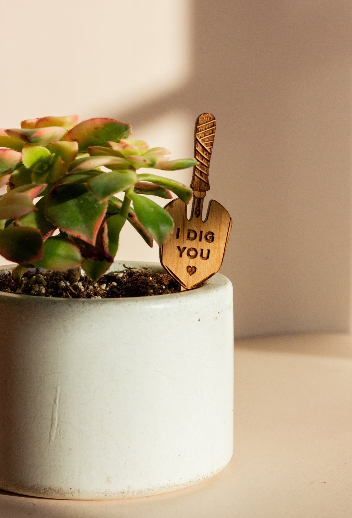 Hereafter Wood Plant Pick