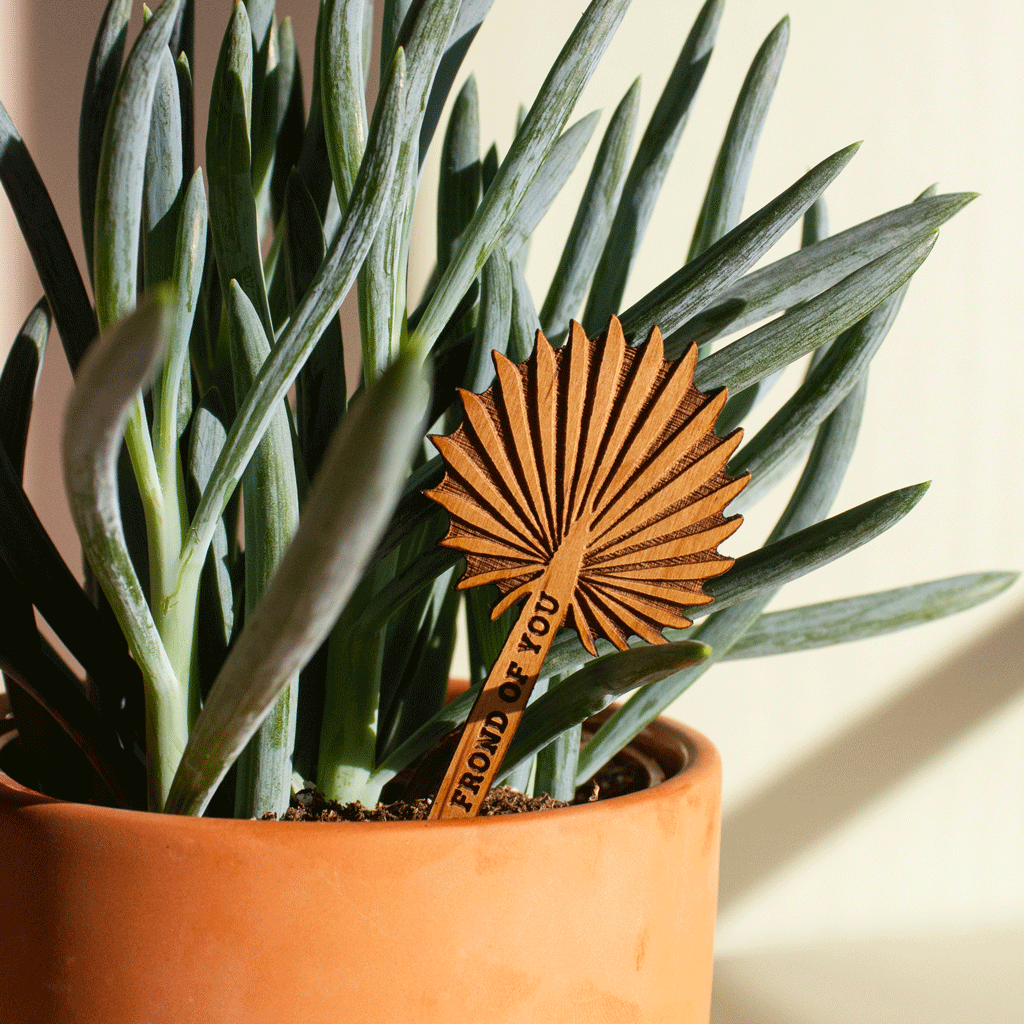 Hereafter Wood Plant Pick