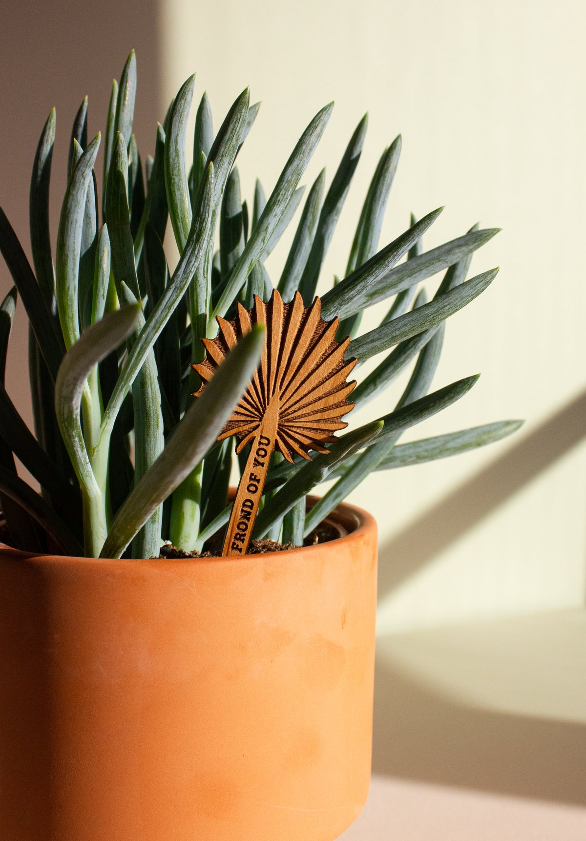 Hereafter Wood Plant Pick