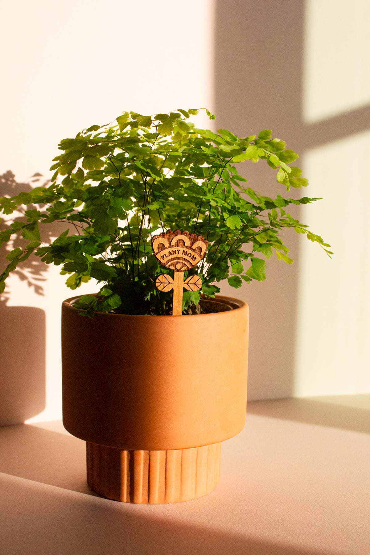 Hereafter Wood Plant Pick