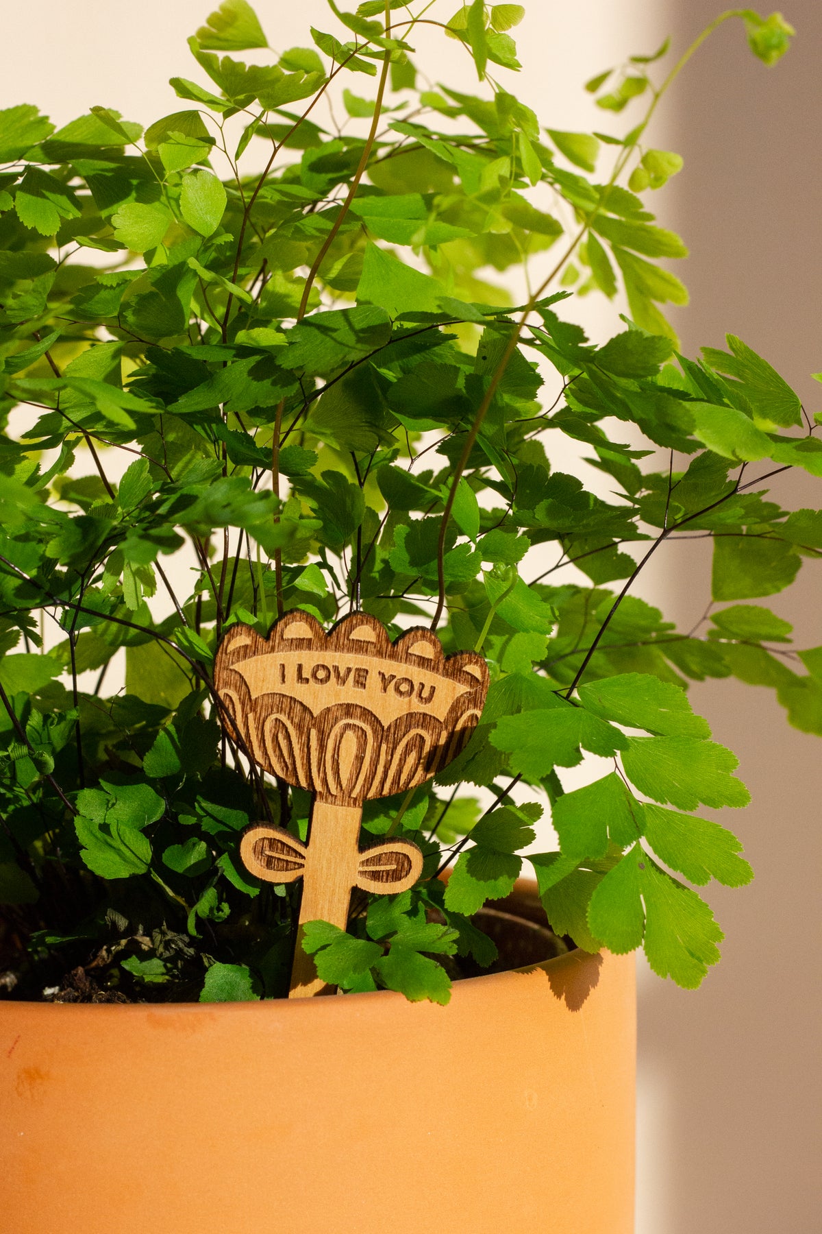 Hereafter Wood Plant Pick