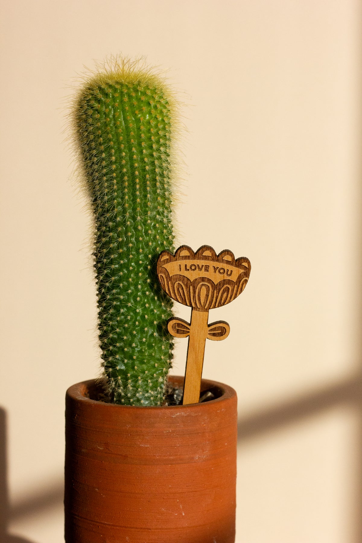 Hereafter Wood Plant Pick