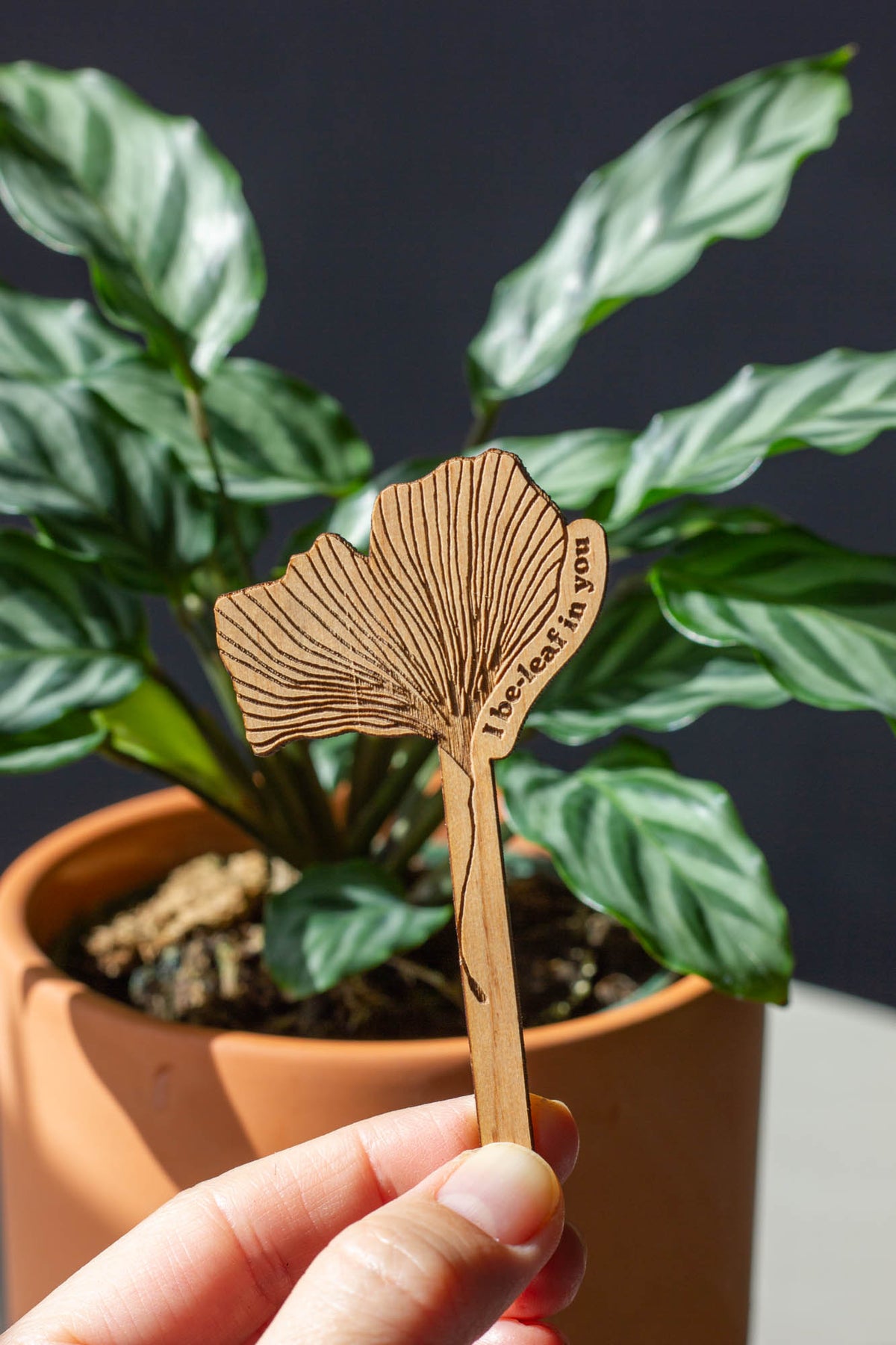 Hereafter Wood Plant Pick