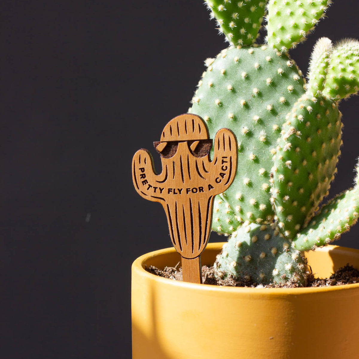 Hereafter Wood Plant Pick