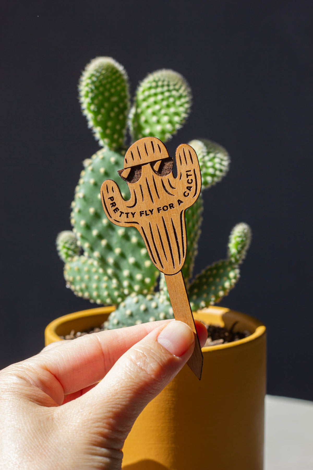 Hereafter Wood Plant Pick