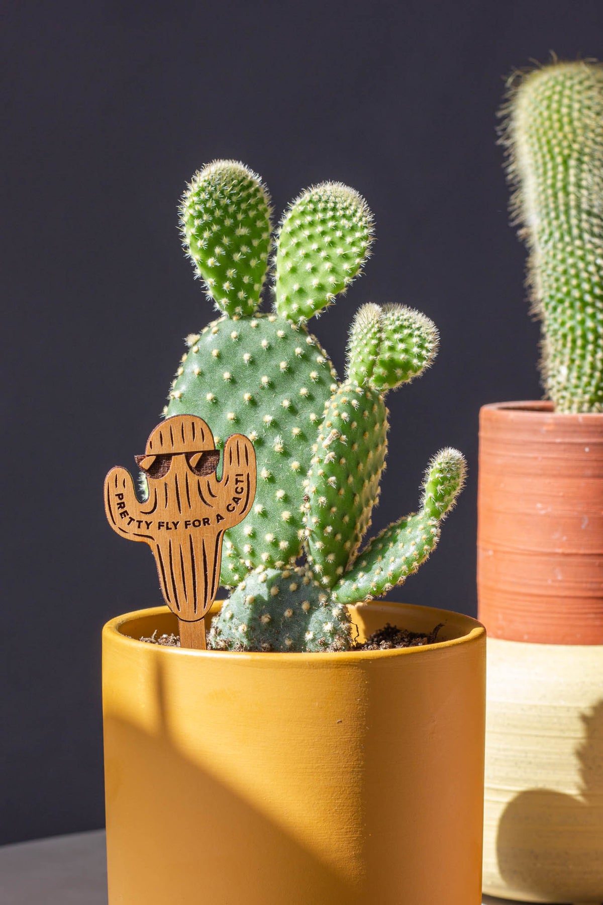 Hereafter Wood Plant Pick