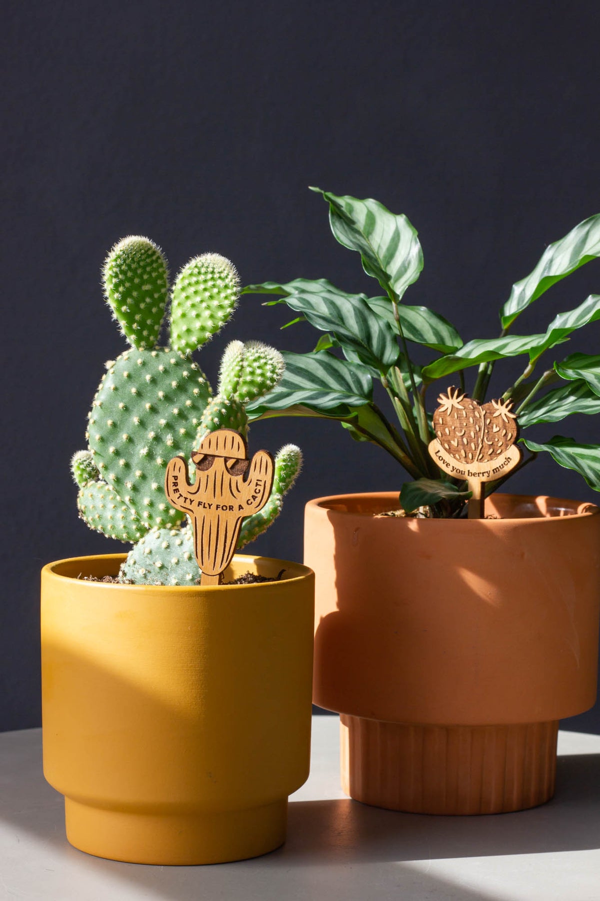 Hereafter Wood Plant Picks