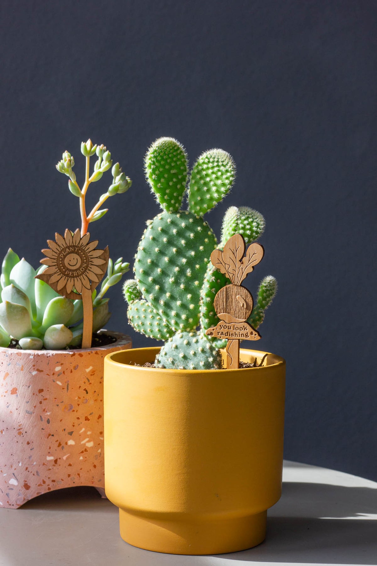 Hereafter Wood Plant Pick