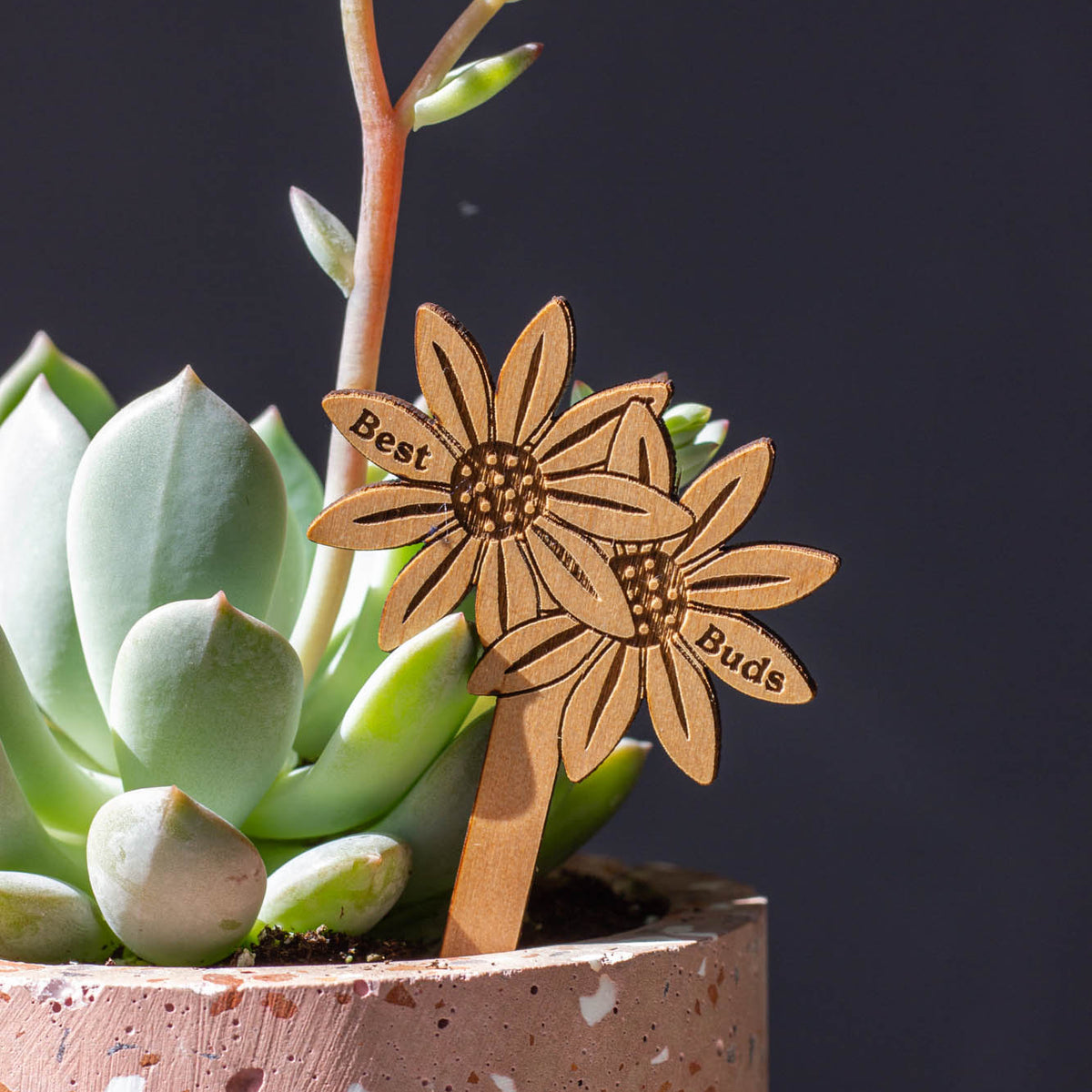 Hereafter Wood Plant Pick