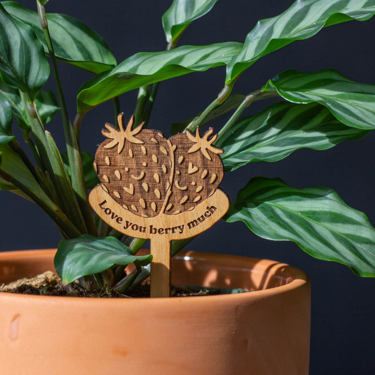 Hereafter Wood Plant Pick