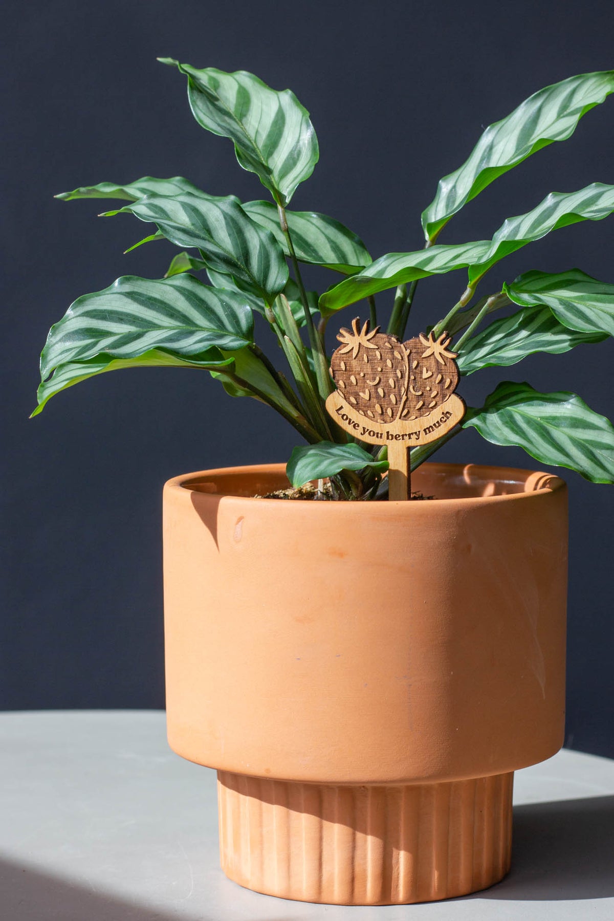 Hereafter Wood Plant Pick