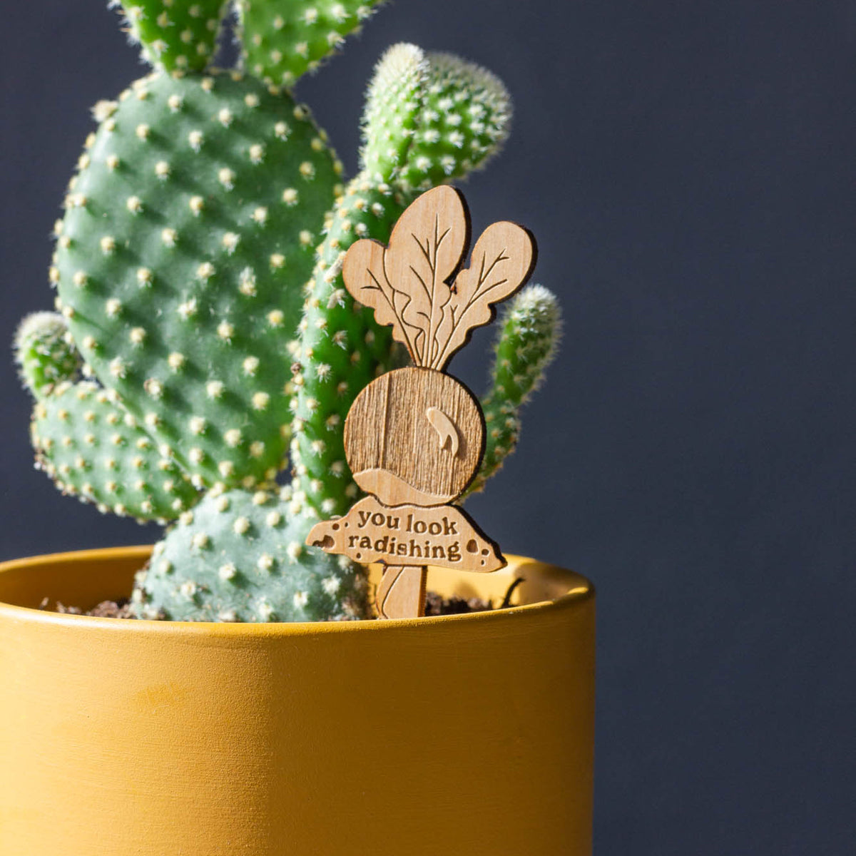 Hereafter Wood Plant Pick