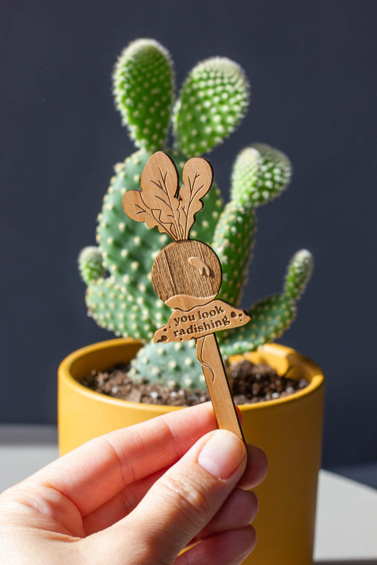 Hereafter Wood Plant Pick