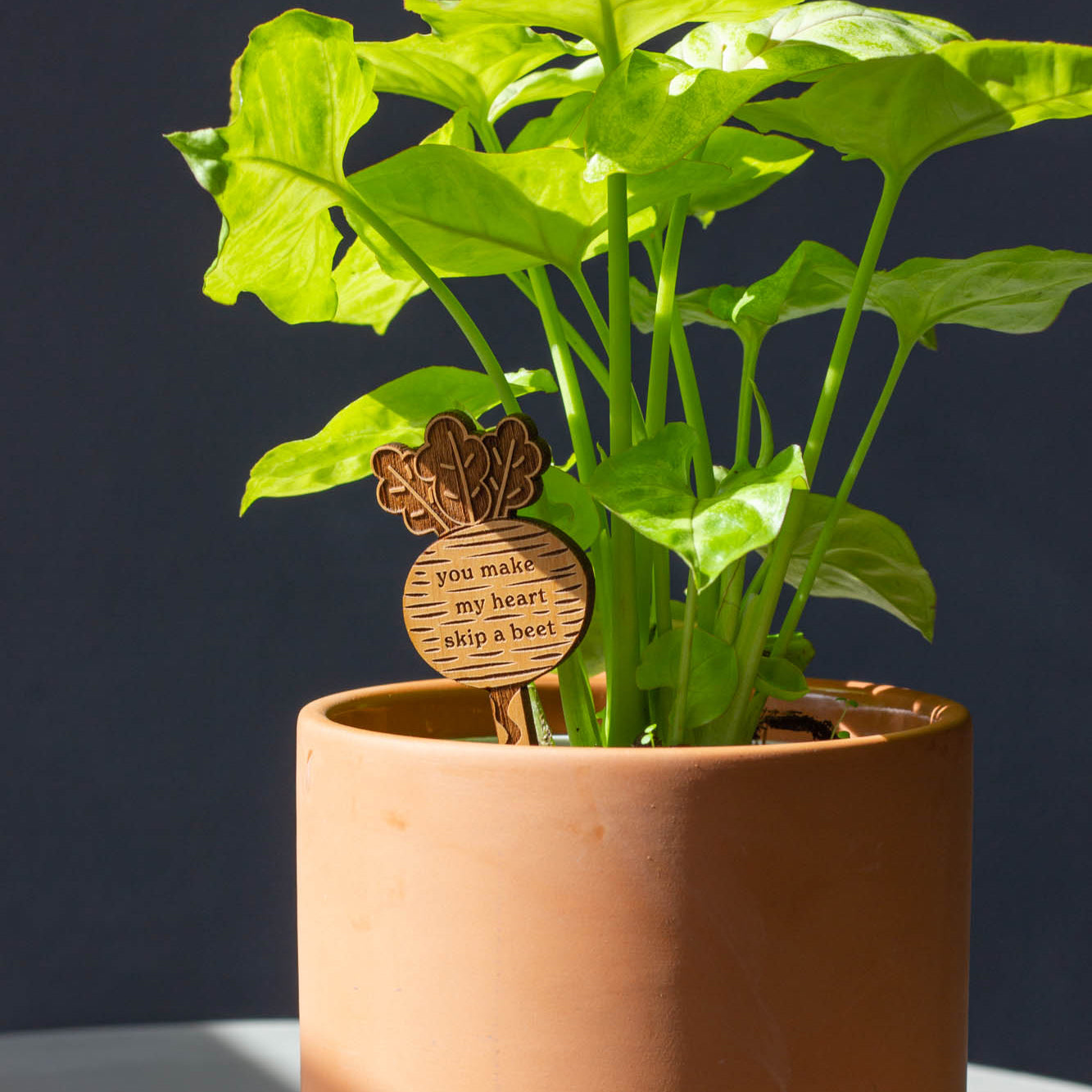 Hereafter Wood Plant Pick