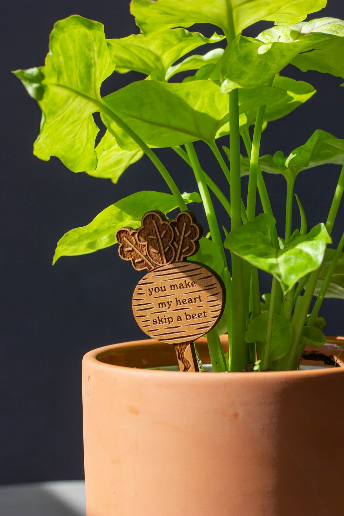 Hereafter Wood Plant Pick