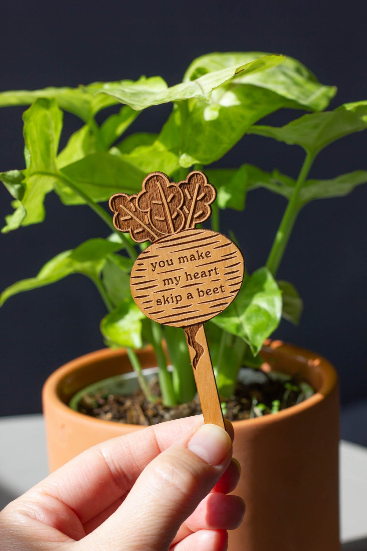 Hereafter Wood Plant Pick