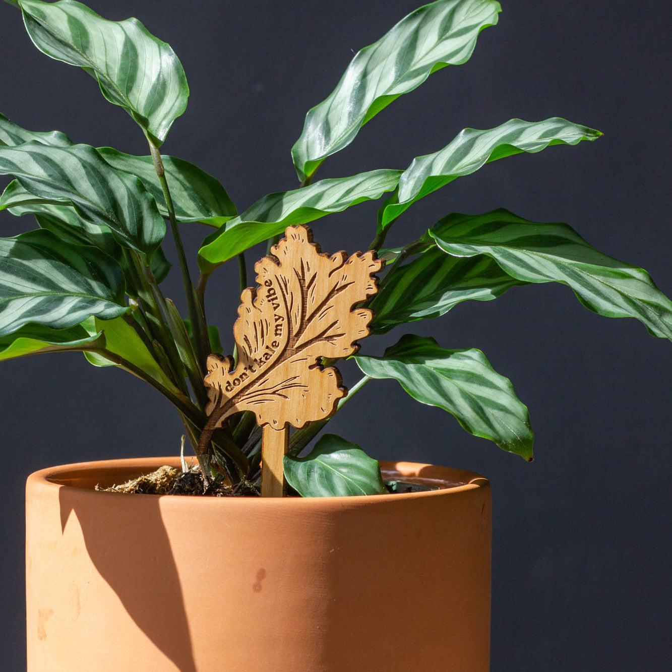 Hereafter Wood Plant Pick