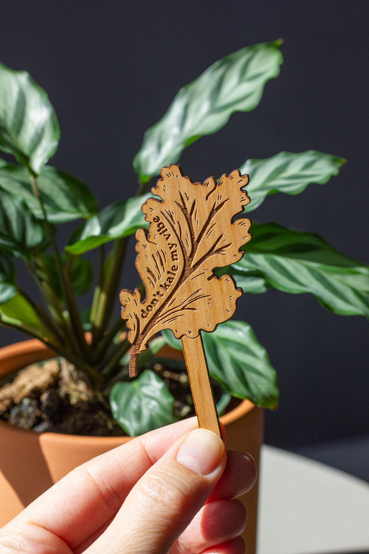 Hereafter Wood Plant Pick